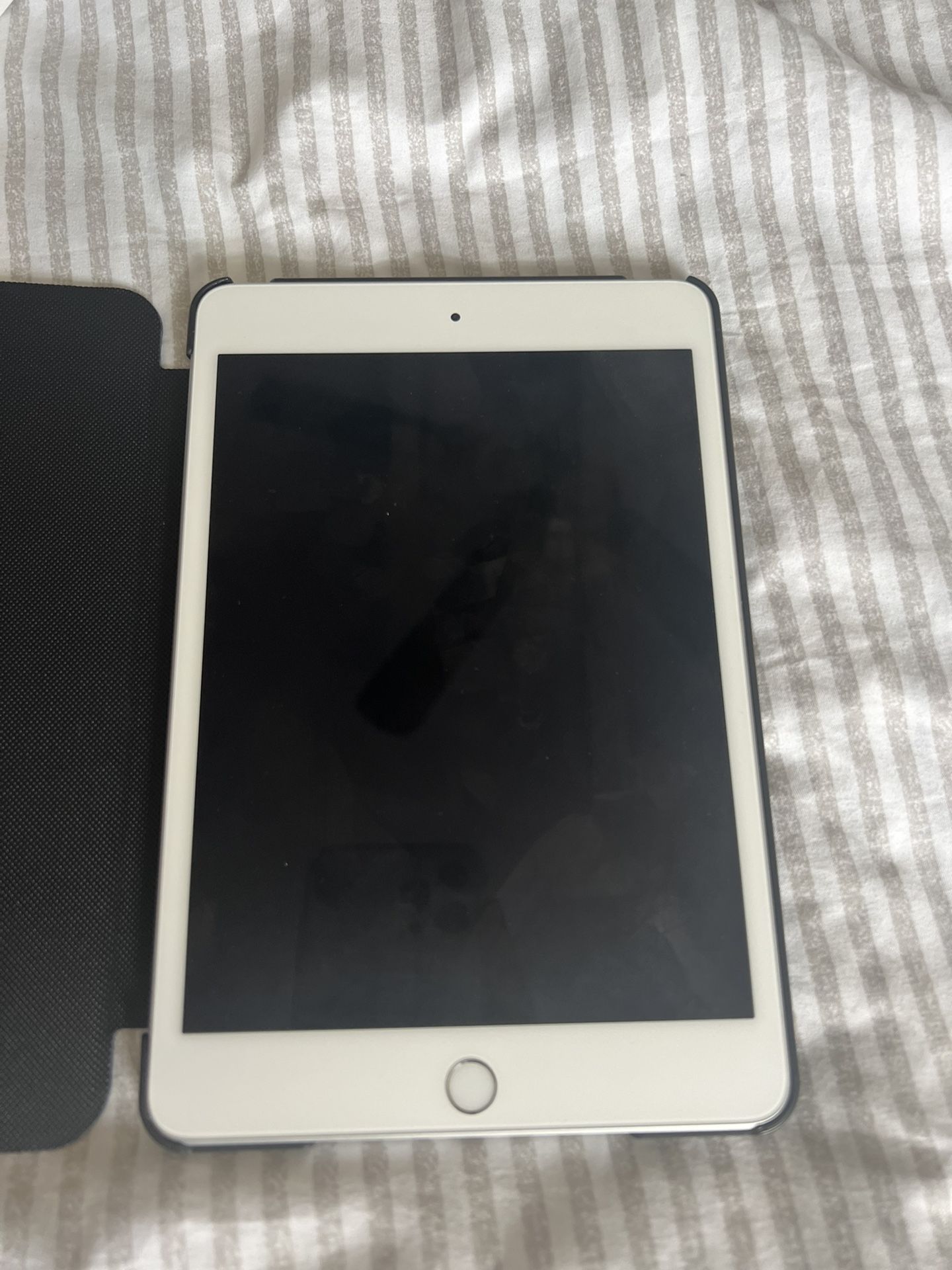 Ipad Mini 5 