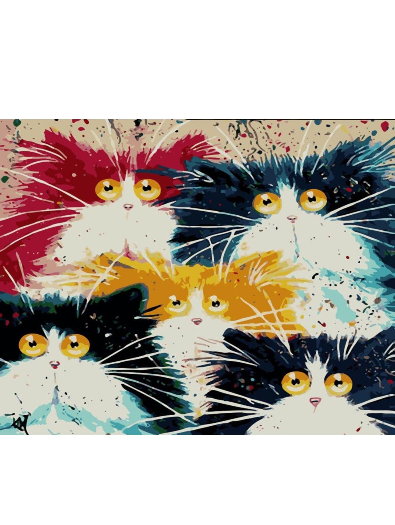 Paint by number, Five colorful cats 16x20inch