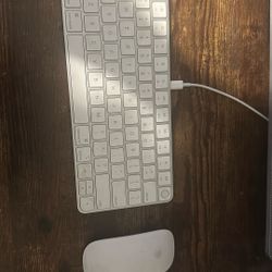 Apple Magic Ieyboard And Mouse
