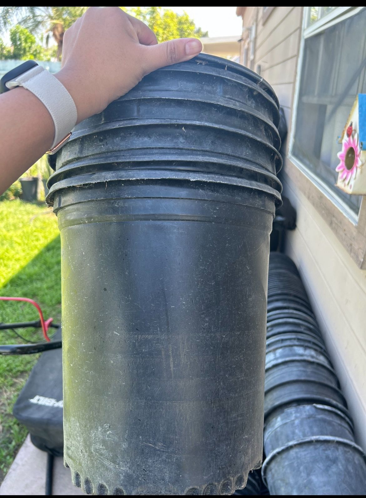 5gal Nursery Plastic Pots for Sale in Grand Terrace, CA - OfferUp