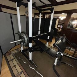 Power Rack, Bench, Barbell, Curl Bar, & 255 Pounds 