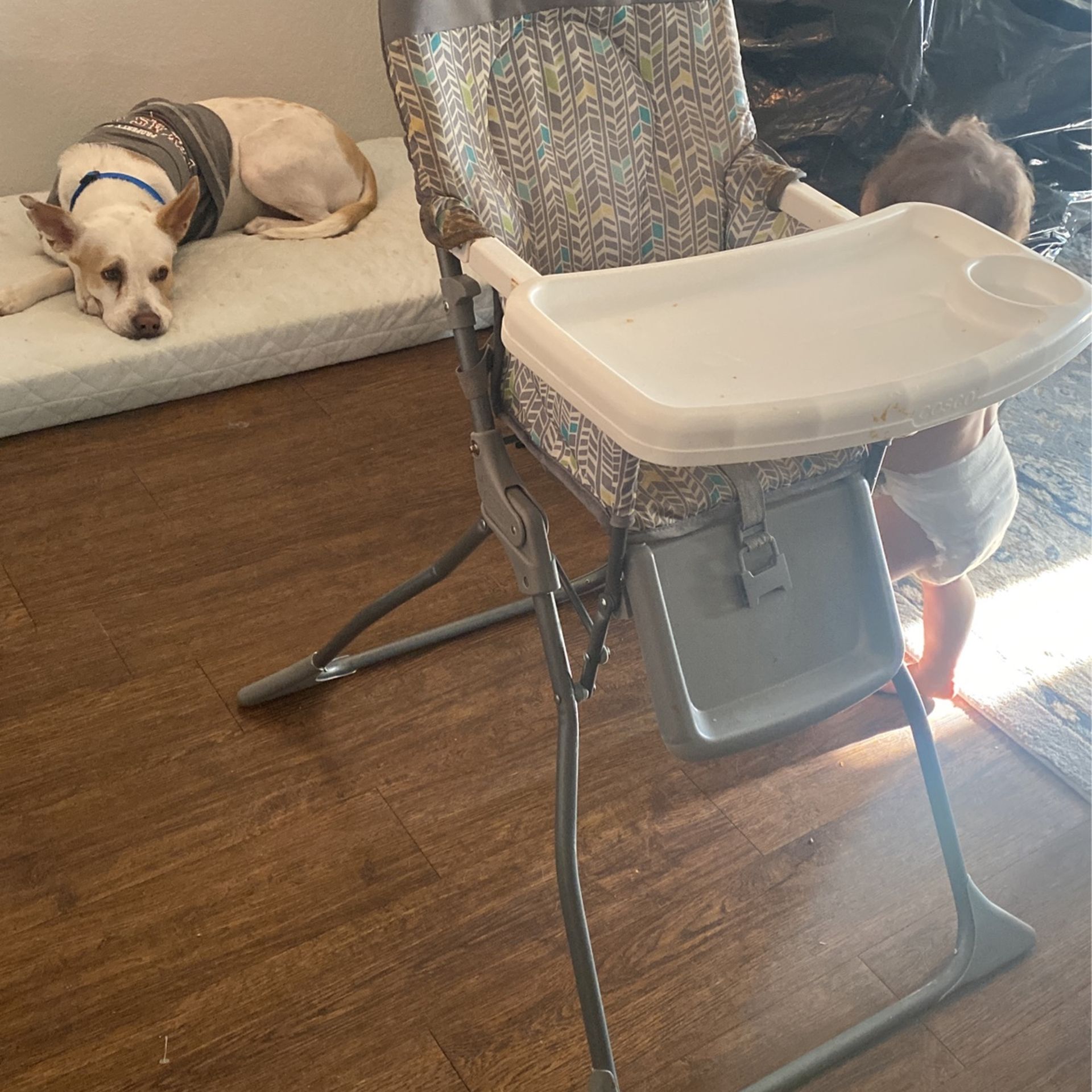 Graco High Chair 