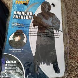 Halloween costume