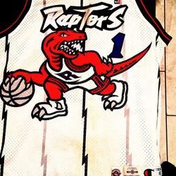 Tracy McGrady Toronto Raptors Pro Cut Jersey