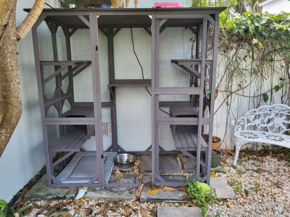 Large Catio Outdoor Cat