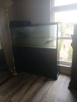 Turtle/fish tank 50 gallons