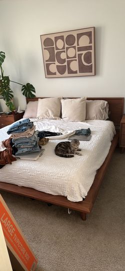 Rove concepts Bed with Eightsleep Matress