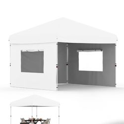 Brand New 10x10 Canopy Instant 