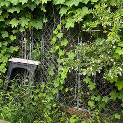 Fenced Dog Kennel