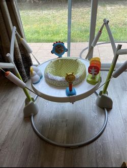 Skip Hop Activity Baby Jumper/bouncer