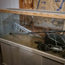 Fish Tank