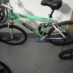 Mountain Bike (adult)