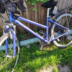 Mountain Bike 