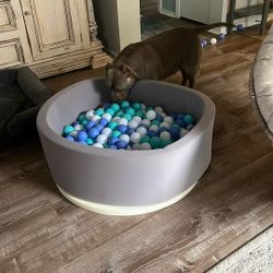 Circle Ball Pit