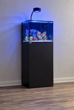 Waterbox AIO 20 Gallon Aquarium – Complete Setup with AI Light & Equipment