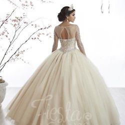 Quinceañera/ Wedding Dress