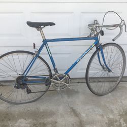 Vintage Schwinn Bike 