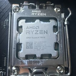 AMD RYZEN 9 7900x