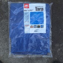 Tarp