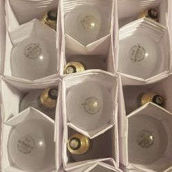 Hytron 75w Brass Base Frosted Light Bulbs 