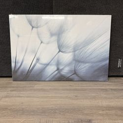 Canvas Artwork 