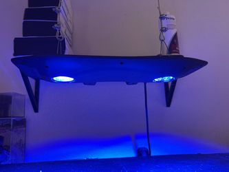 Kessil AP9X Reef Tank Light