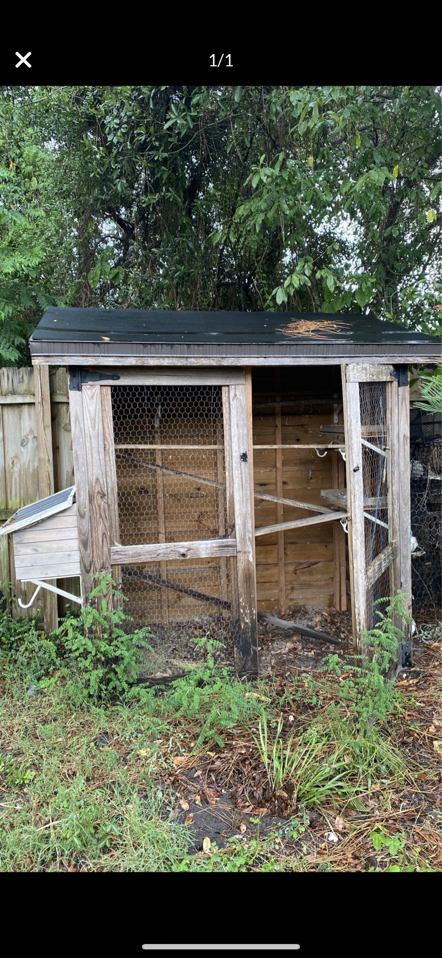 Large chicken coop for FREE