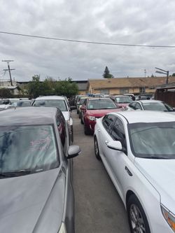 Public auto auctions