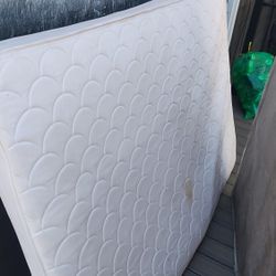 Queen Mattress and Box Spring - Used Free
