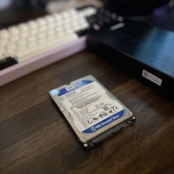 WD Scorpio Blue 500GB 