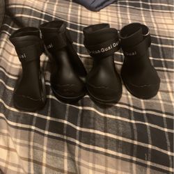 Dog Shoes