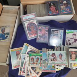 Crazy Sports Baseball Basketball  Card Lot Rookie Ken Griffey Psa 7 4th Year Michael Jordan