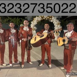 Mariachi Vihuela Violin 