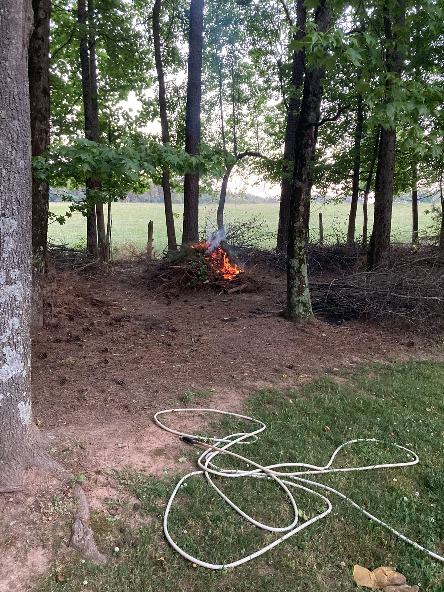 Free Trees, Firewood for Sale in Greensboro, NC OfferUp