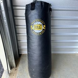 Everlast heavy bag