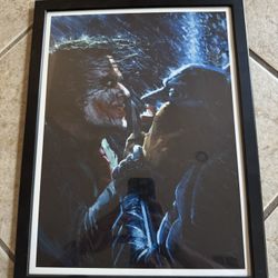 Batman Dark Night 17x11 Christopher Jack Print framed