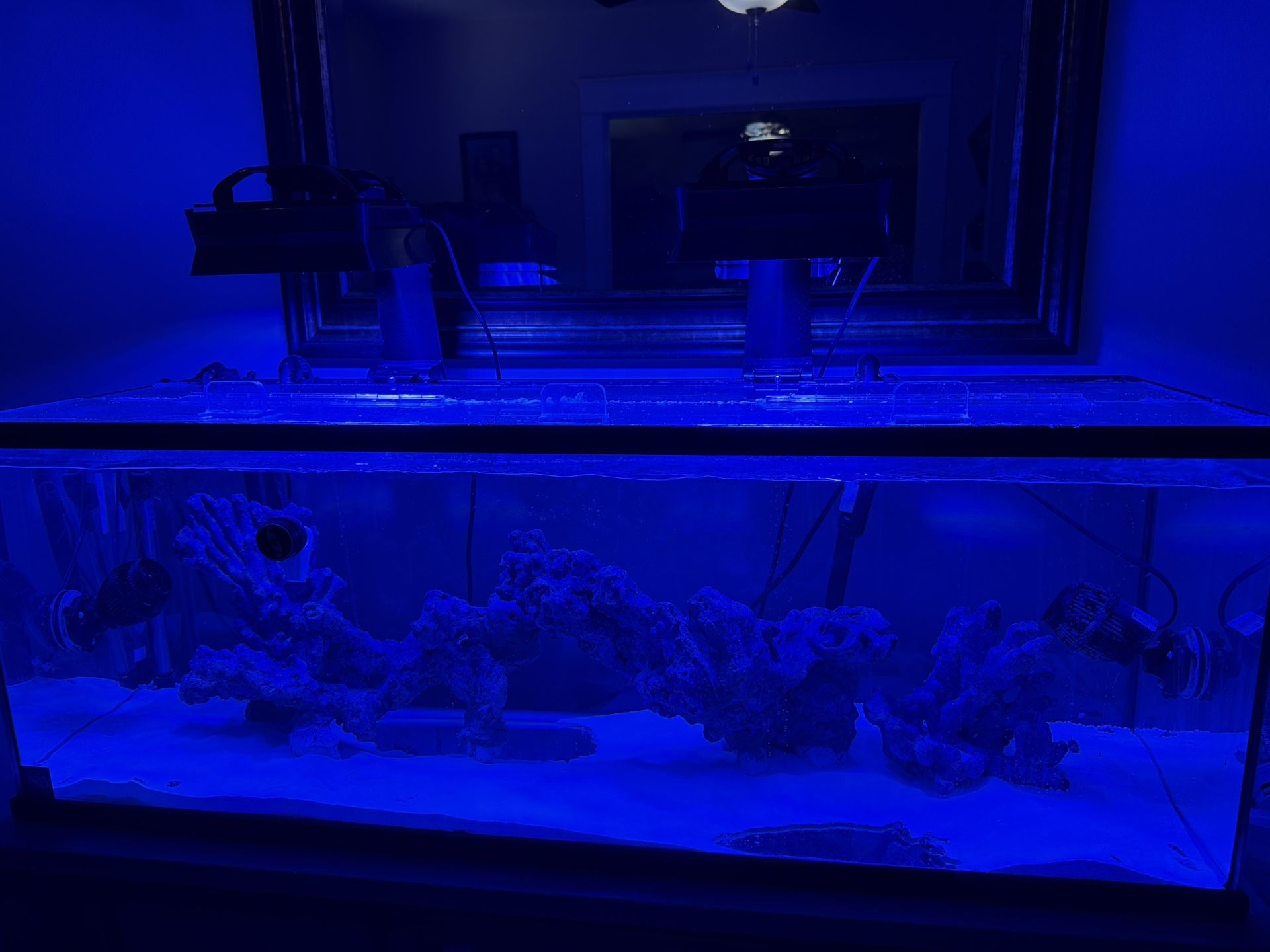 VISIO FISH TANK 60 GALLONS