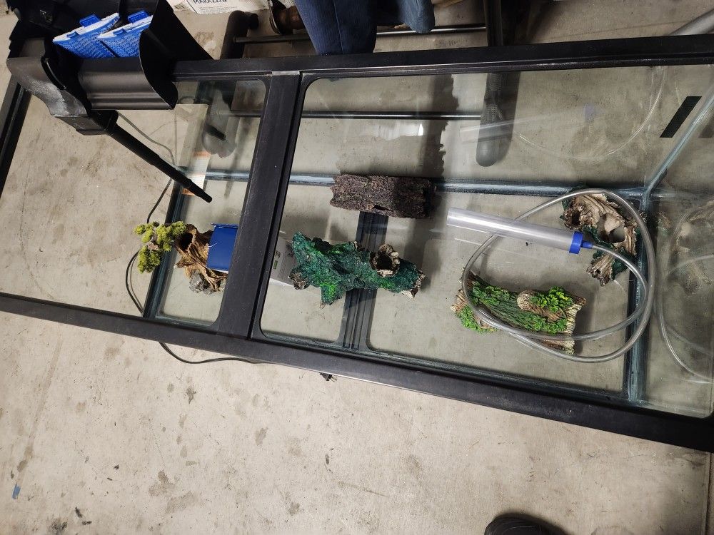 75 Gallon Fish Tank