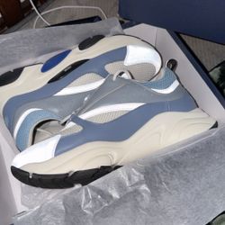 Dior b22