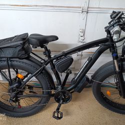 Dual Motor Electric Bike