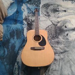 Palmer Guitar