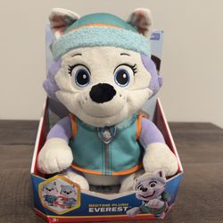 PAW Patrol Everest Bedtime Plush Toy – Soft Stuffed Animal – New 