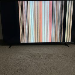 Broken 55 Inch Vizio Television