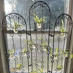 Brass Votive Trellis With Spider Plants