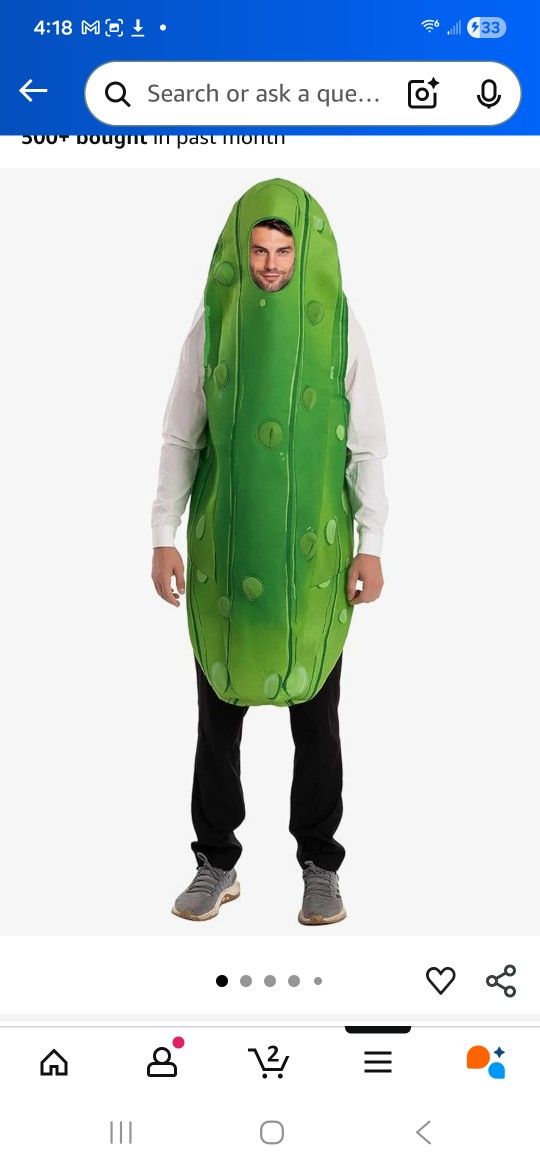 Adult/Teen Pickle Halloween Costume