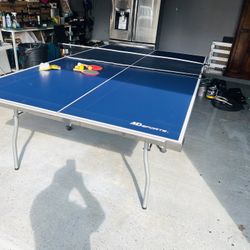 Ping Pong Table