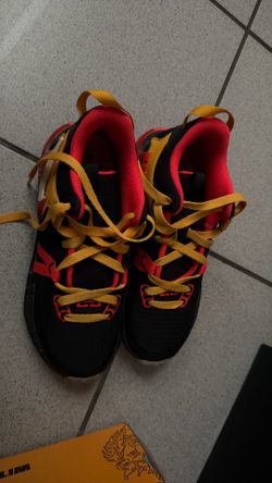 Nike lebron