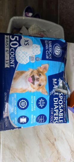 Dog boy diapers.