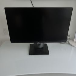 HP 28in Monitor 
