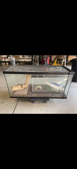 40 Gal Reptile Tank